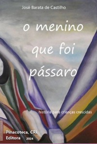 Cover O Menino Que Foi Pássaro