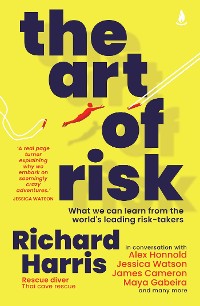 Cover Art of Risk