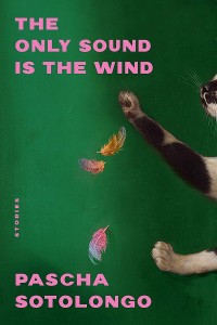 Cover The Only Sound Is the Wind: Stories