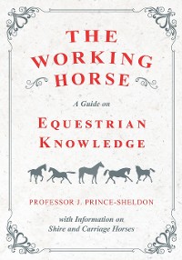 Cover The Working Horse - A Guide on Equestrian Knowledge with Information on Shire and Carriage Horses