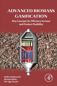 Cover Advanced Biomass Gasification