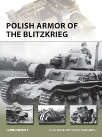 Cover Polish Armor of the Blitzkrieg