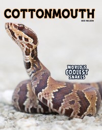 Cover Cottonmouth