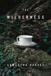Cover Wilderness