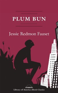 Cover Plum Bun: A Novel Without a Moral