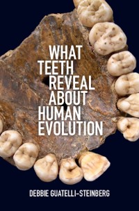 Cover What Teeth Reveal about Human Evolution