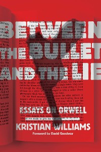 Cover Between the Bullet and the Lie