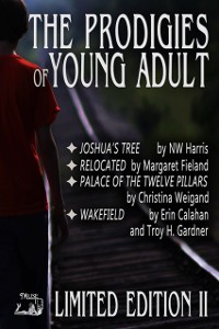 Cover Prodigies of Young Adult