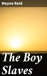 Cover The Boy Slaves