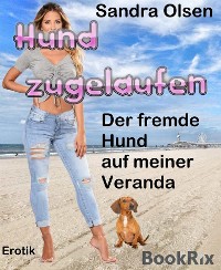 Cover Hund zugelaufen