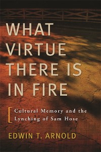 Cover What Virtue There Is in Fire