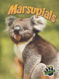 Cover Marsupials