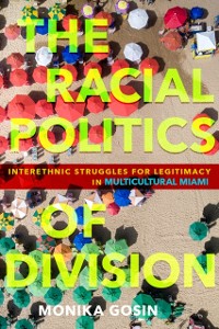 Cover Racial Politics of Division