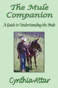 Cover The Mule Companion: A Guide to Understanding the Mule