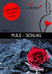 Cover Puls - Schlag