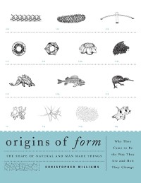 Cover Origins of Form