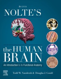 Cover Nolte's The Human Brain E-Book