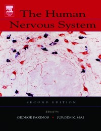 Cover Human Nervous System