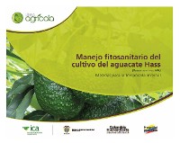 Cover Manejo fitosanitario del cultivo del aguacate Hass (Persea americana Mill) medidas para la temporada invernal