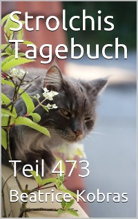 Cover Strolchis Tagebuch - Teil 473