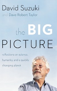 Cover The Big Picture