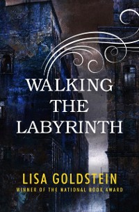 Cover Walking the Labyrinth