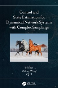 Cover Control and State Estimation for Dynamical Network Systems with Complex Samplings