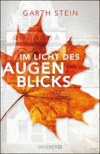 Cover Im Licht des Augenblicks