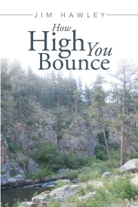 Cover How High You Bounce