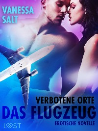 Cover Verbotene Orte: Das Flugzeug - Erotische Novelle