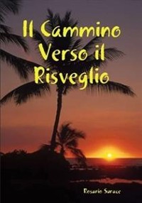 Cover Il Cammino Verso Il Risveglio