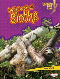 Cover Let's Look at Sloths
