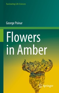 Cover Flowers in Amber