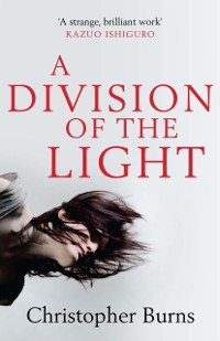 Cover Division of the Light