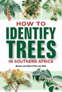 Cover How to Identify Trees in Southern Africa