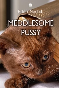 Cover Meddlesome Pussy