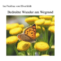 Cover Bedrohte Wunder am Wegrand