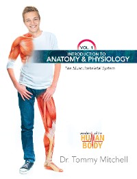 Cover Introduction to Anatomy & Physiology: The Musculoskeletal System Vol 1