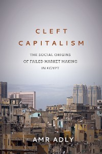 Cover Cleft Capitalism
