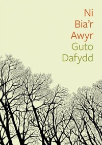 Cover Cyfres Tonfedd Heddiw: Ni Bia''r Awyr