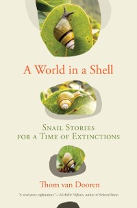 Cover World in a Shell