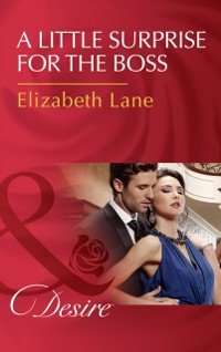 Cover LITTLE SURPRISE FOR BOSS EB