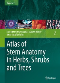 Cover Atlas of Stem Anatomy in Herbs, Shrubs and Trees