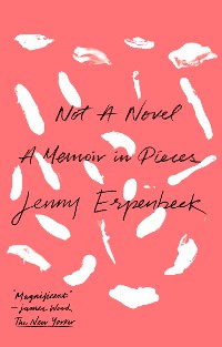 Cover Not a Novel: A Memoir in Pieces