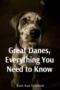 Cover Great Danes, Everything You Need to Know