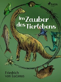 Cover Im Zauber des Tierlebens