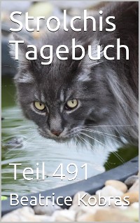Cover Strolchis Tagebuch - Teil 491
