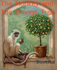 Cover The Monkey and The Orange Tree