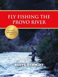 Cover Fly Fishing the Provo River