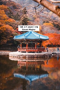 Cover 다른 보기 2024년 11월